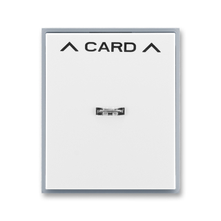 Kryt spínače kartového, 3559E-A00700 04, ABB, Element®, bílá / ledová šedá