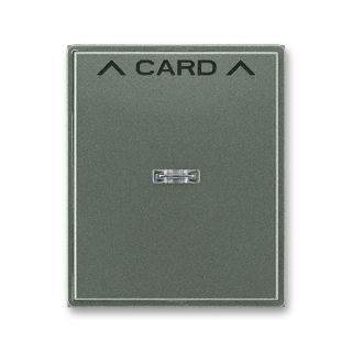 Kryt spínače kartového, 3559E-A00700 34, ABB, Time®, Time® Arbo, antracitová