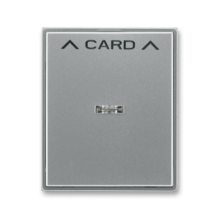Kryt spínače kartového, 3559E-A00700 36, ABB, Time®, Time® Arbo, ocelová