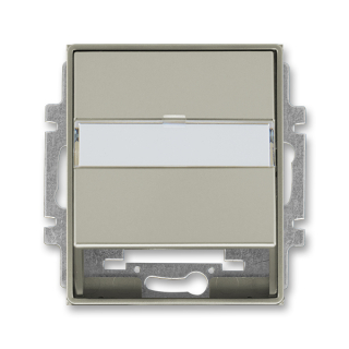 Kryt zásuvky komunikační a datové, repro, pro nosnou masku, 5014E-A00100 32, ABB, Time®, Time® Arbo, starostříbrná