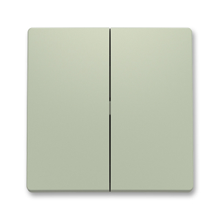 Kryt spínače dělený, 3559T-A00652 243, ABB, Zoni®, olivová