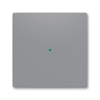 Kryt 1násobný, bez potisku, 6220T-A01000 241, ABB, Zoni®, šedá
