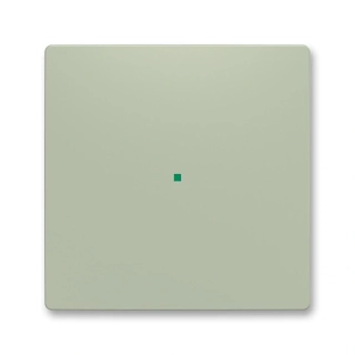 Kryt 1násobný, bez potisku, 6220T-A01000 243, ABB, Zoni®, olivová