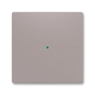 Kryt 1násobný, bez potisku, 6220T-A01000 244, ABB, Zoni®, greige