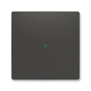 Kryt 1násobný, bez potisku, 6220T-A01000 237, ABB, Zoni®, matná černá