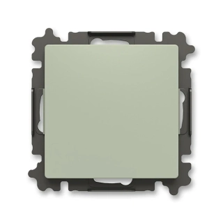 Kryt zaslepovací, 3902T-A00001 243, ABB, Zoni®, olivová